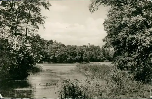 Ansichtskarte Waldsieversdorf Umlandpartie 1962