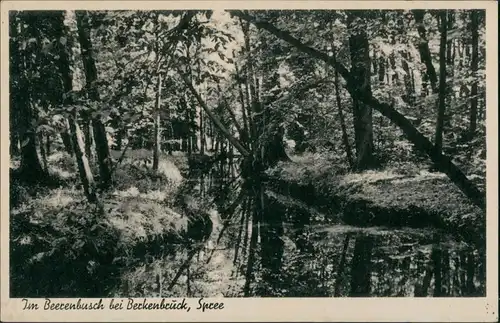 Ansichtskarte Berkenbrück Im Berrenbusch 1952