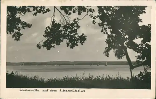 Ansichtskarte Pieskow-Bad Saarow Scharmützelsee, Segelregatta 1953