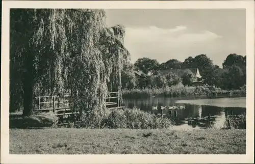 Ansichtskarte Wernsdorf-Königs Wusterhausen Stadtpartie 1956