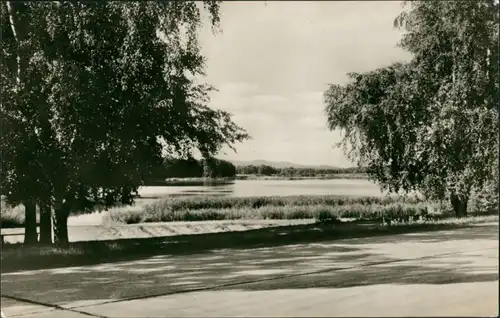 Ansichtskarte Berkenbrück Am Dehmsee 1960