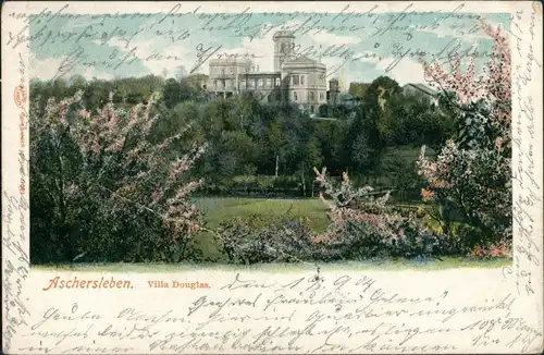 Ansichtskarte Aschersleben Partie an der Villa Douglas 1904