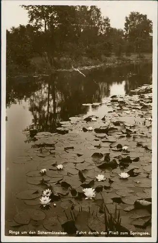 Scharmützelsee Seerosen Fahrt durch das Fließ zum Springsee 1932