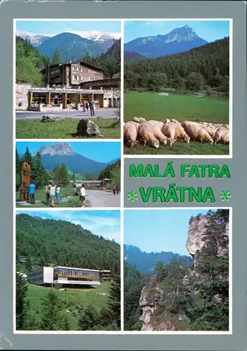 Zlin Žilinský kraj) Malá Fatra - Vrátna: Chata Vrátna, Ovečky na paši 1984