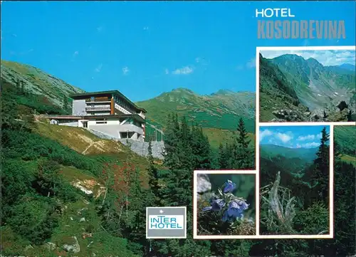 .Slowakei Hotel Kosodrevina Dumbier Zvonček alpský m Lomnistá dolina 1990