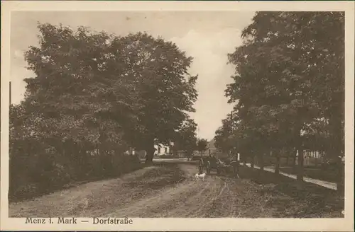 Menz (Mark)-Stechlin Dorfstrasse, Allee, Pferde Fuhrwerk, Hund davor 1910