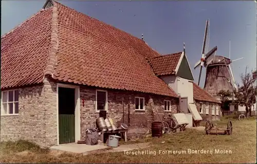 Postkaart Terschelling Haus und Windmühle 1966