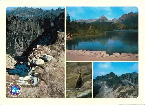 Vysoké Tatry Mengusovská dolina, Pleso, Kamzík, Furkotská dolina 1989