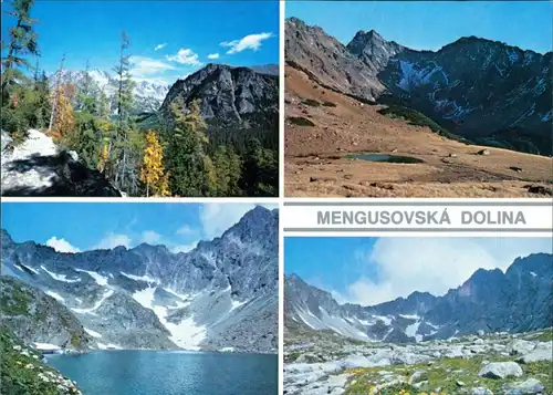 Vysoké Tatry Mengusovská dolina: Kôpky a Vysoká z magistrály 1989