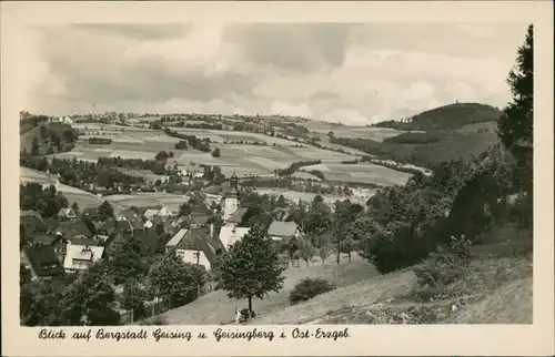 Geising-Altenberg (Erzgebirge) Geisingberg (Geising) Panorama der Bergstadt 1955