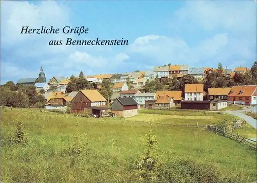 Ansichtskarte Benneckenstein Panorama 1995