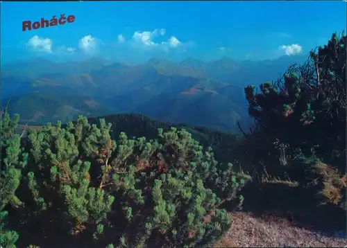 Zuberec Zuberzec Bölényfalu Pohľad z Osobitej na hlavný hrebeň 1985