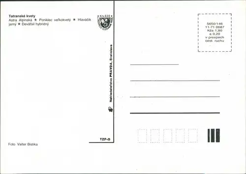 Postcard .Slowakei Tatranské kvety Vysoké Tatry/Hohe Tatra Blumen 1987