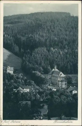 Postcard Bad Reinerz Duszniki-Zdrój Franziskusheim 1931