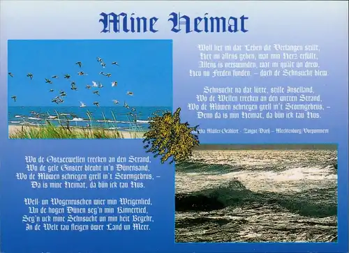 Ansichtskarte Zingst Spruchkarte: Mine Heimat, Meer, Strand mit Möwen 1997