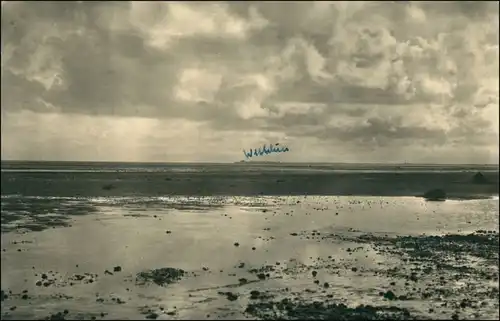 Ansichtskarte Wyk (Föhr) Watt am Nieblumer Strand 1928