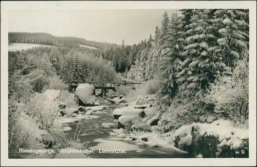 Postcard Krummhübel Karpacz Lomnitztal im Winter 1929