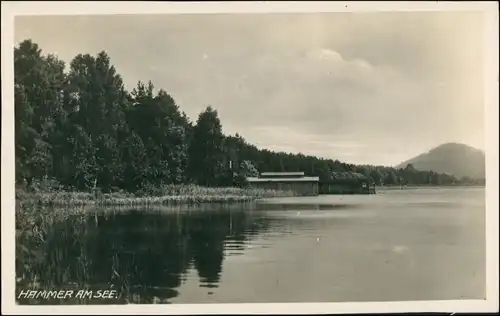 Foto Hammer am See Hamr na Jezeře Uferpartie 1929 Privatfoto