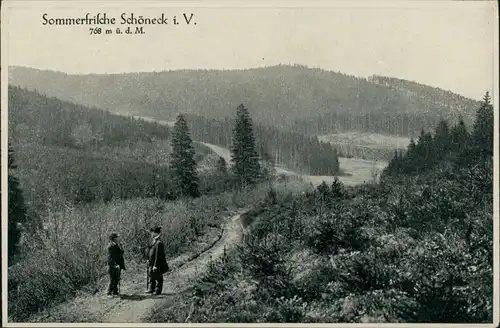 Schöneck (Vogtland) Panorama-Ansicht 2 Männer auf Wald- / Wirtschaftsweg "Sommerfrische" 1910