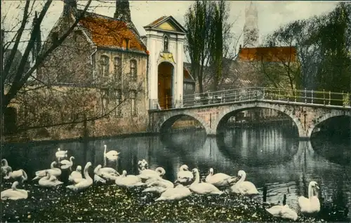 Brügge Brugge | Bruges Pont du Béguinage/Stadtteilansicht Brücke Schwäne 1950