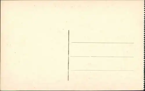 Brüssel Bruxelles Königliche Palast / KoninklijkbRoyal/du Roi 1910