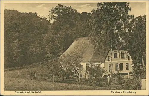 Postcard Apenrade Aabenraa Åbenrå Forsthaus Schedeberg 1914