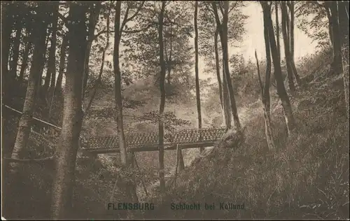 Postcard Bad Collund Kollund Shlucht - Brücke bei Flensburg 1915