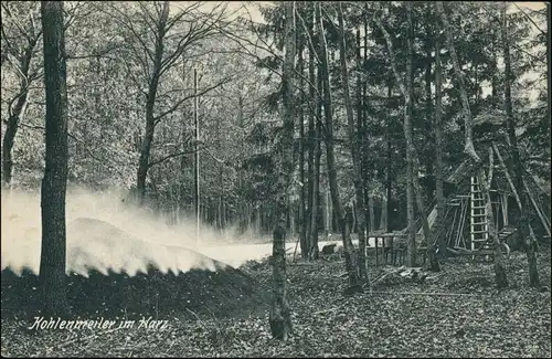 Ansichtskarte Blankenburg (Harz) Kohlenweiler im Harz 1918