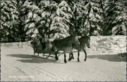 .Nordrhein-Westfalen Sauerland (Mittelgebirgsregion) Winter Kutsche 1960