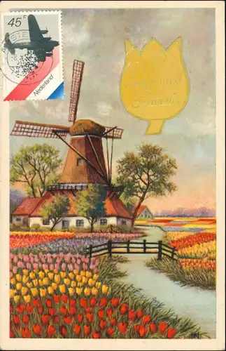 Postkaart .Niederlande Künstlerkarte Tulpe - Feld, Windmühle 1965