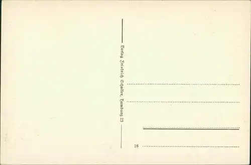 Ansichtskarte Lüneburg Schütting mit Reichenbachbrunnen - Geschäfte 1918