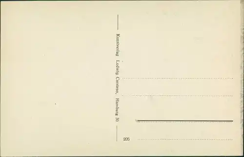 Ansichtskarte Lüneburg Am Werder 1918