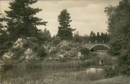 Ansichtskarte Dahlem-Berlin Botanischer Garten, Brücke 1928
