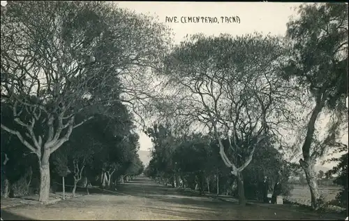 Postcard Tacna Avenue Cementerio Peru South America 1922