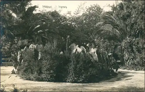 Postcard Tacna Parkanlage Peru South America 1922