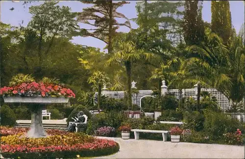 Bad Pyrmont Kuranlagen Partie Palmengarten Palmen Botanik Pflanzen 1928