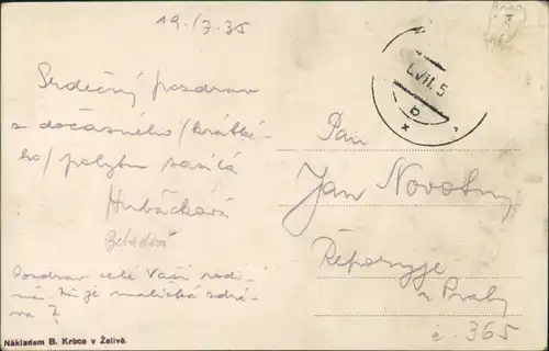 Postcard Seelau Želiv Ort Teilansicht Vogelschau-Perspektive 1935