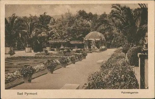 Bad Pyrmont Botanik Grünanlagen Partie im Palmen Garten Palms Garden 1920