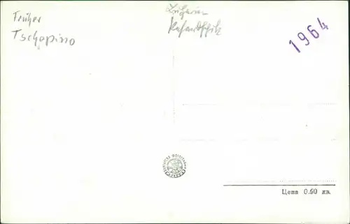 Postcard Welingrad Велинград Teich, Stadt 1964