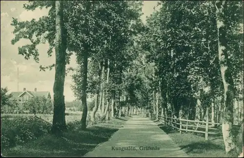 Postcard Gräfsnäs (Västergötland) Straßenpartie - Kungsalen 1928