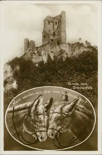 Bad Godesberg-Bonn Esel Motivkarte Drachenfels (Siebengebirge) Grusskarte 1930