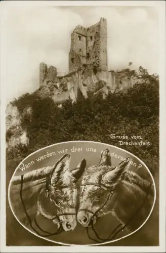 Bad Godesberg-Bonn Esel Motivkarte Drachenfels (Siebengebirge) Grusskarte 1930