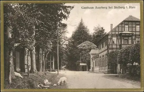 Ansichtskarte Stolberg (Harz) Auerberg - Gasthaus - Straße 1925