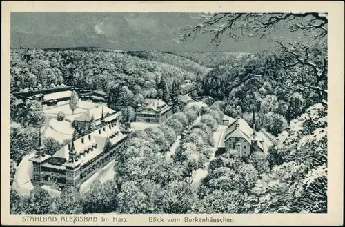Ansichtskarte Alexisbad-Harzgerode Im Winter - Borkenhäuschen 1922