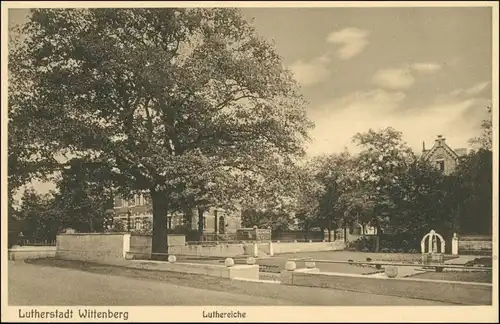 Ansichtskarte Lutherstadt Wittenberg Straßenpartie -Luthereiche 1926