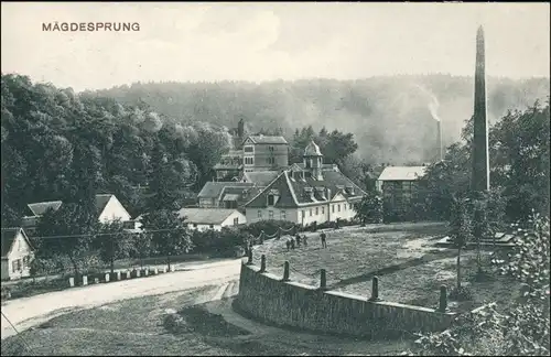 Ansichtskarte Mägdesprung-Harzgerode Straße, Anlagen - Stadt 1908