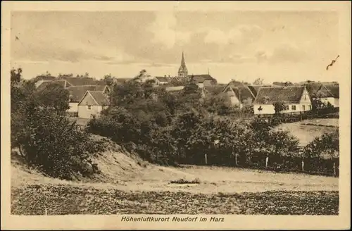 Ansichtskarte Neudorf (Harz) Stadtpartie 1925