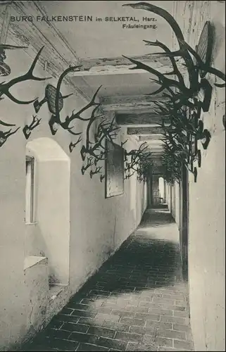 Ansichtskarte Pansfelde-Falkenstein/Harz Burg Falkenstein - Fräuleingang 1912