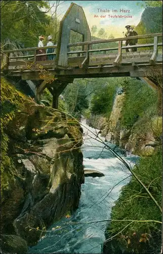 Ansichtskarte Thale (Harz) Teufelsbrücke, Frauen und Männer 1908