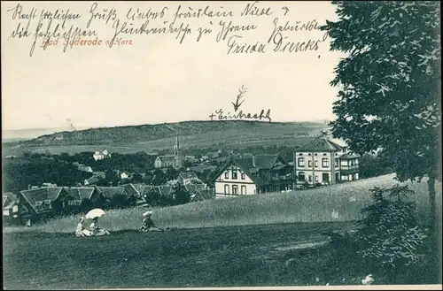 Ansichtskarte Bad Suderode Villen - Stadtpartie 1907